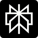 Perplexity Pro logo